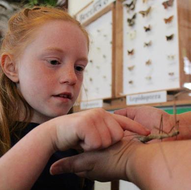 scarlet stick_thumb.jpg